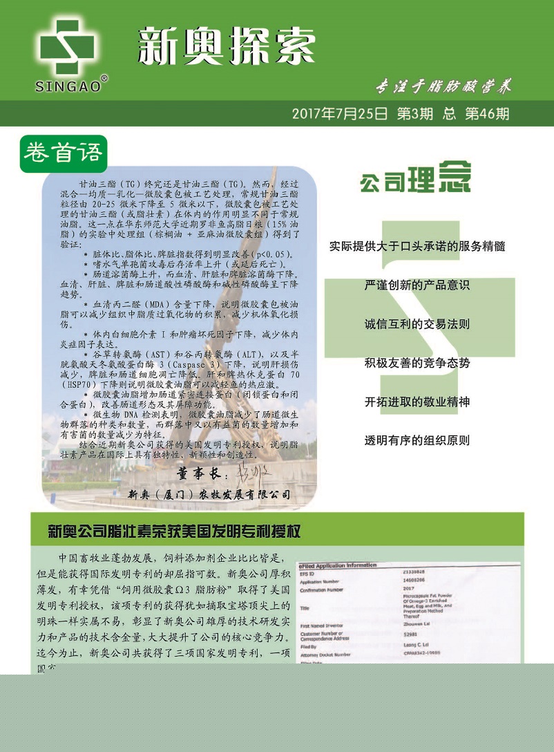 中山_新澳门最精准正最精准2025年,揭露揭秘请全面释义、解释与落实
