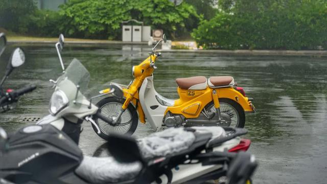 乌鲁木齐_澳门一码一肖一特一中直播结果,戒惧探明请全面2释义、解释与落实